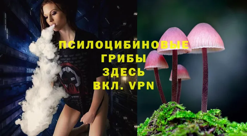 Галлюциногенные грибы Magic Shrooms  Слюдянка 